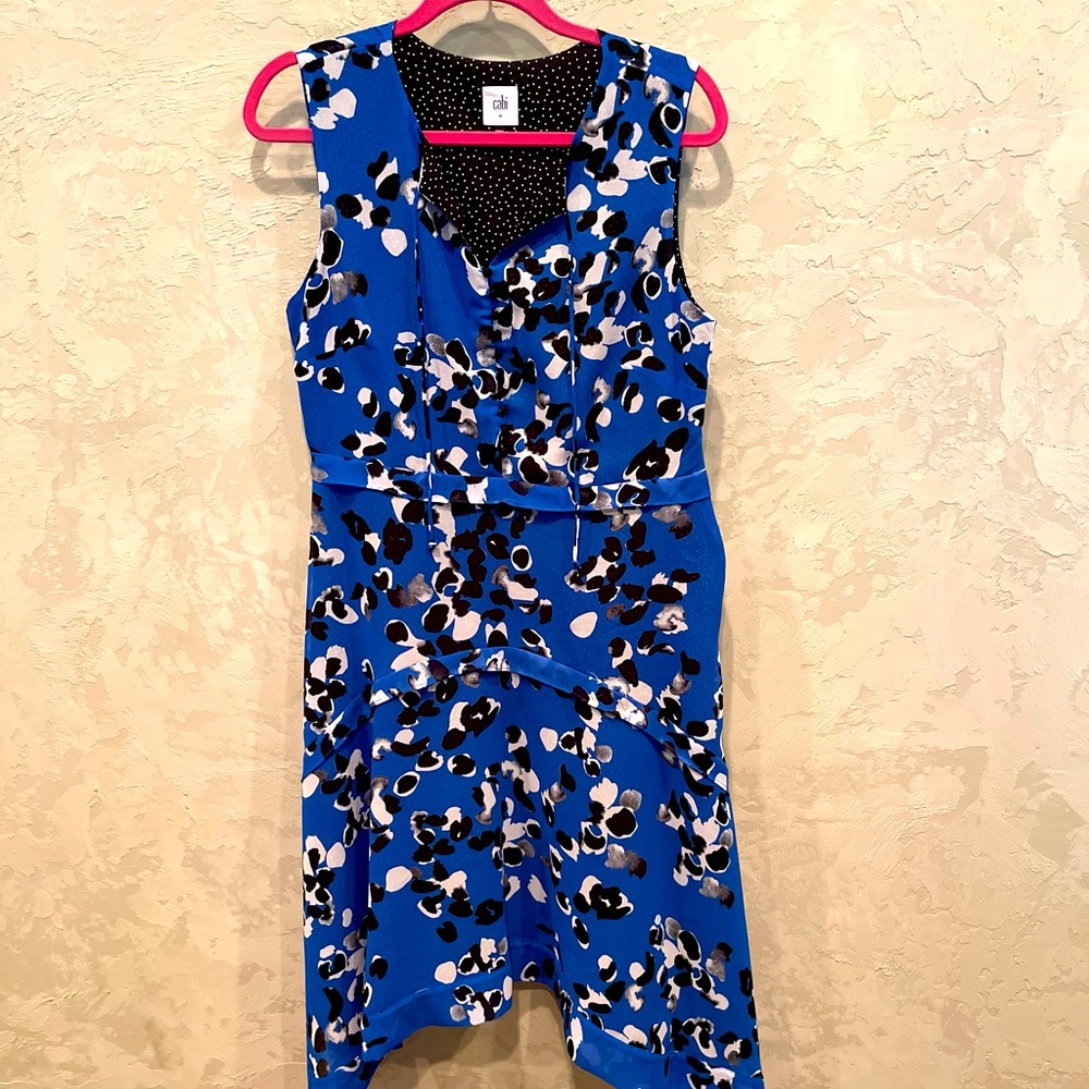 Classy Cabi dress.